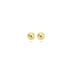 oorknoppen 5 mm 14K geelgoud