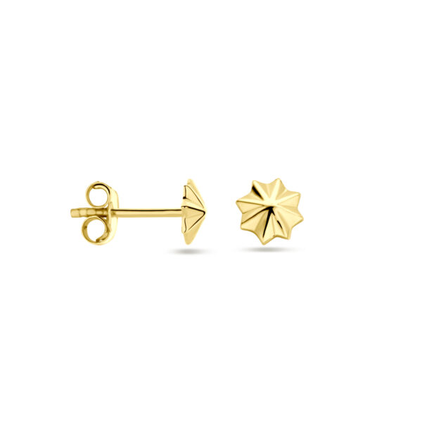oorknoppen 5,5 mm 14K geelgoud - Afbeelding 3