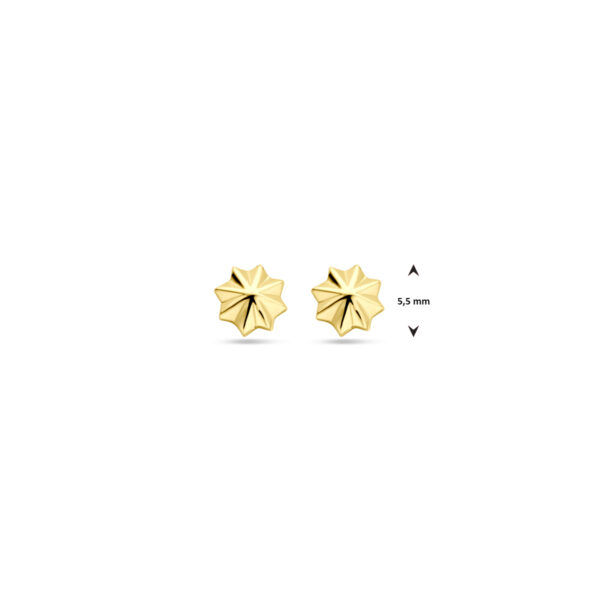 oorknoppen 5,5 mm 14K geelgoud - Afbeelding 4