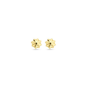 oorknoppen 5,5 mm 14K geelgoud