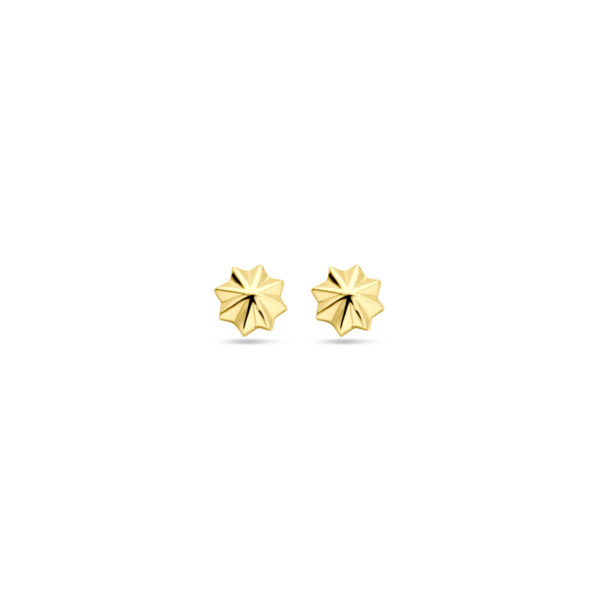 oorknoppen 5,5 mm 14K geelgoud