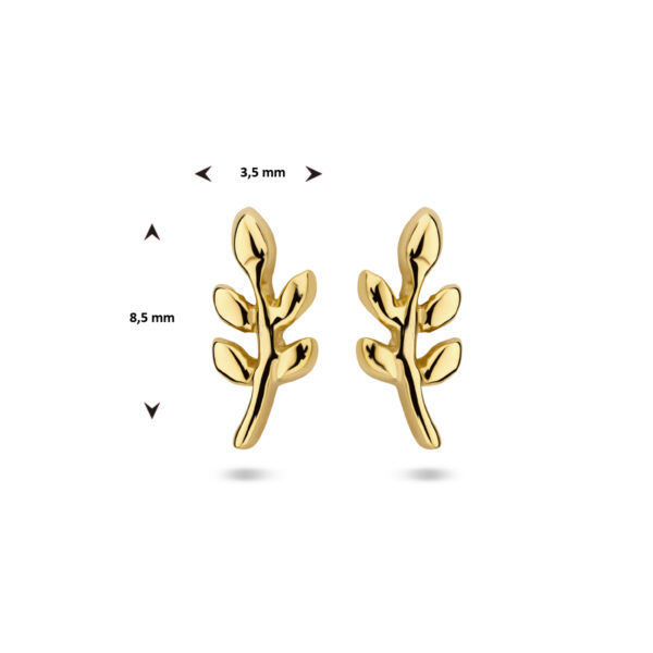 oorknoppen blad 1 micron zilver verguld (geel) - Afbeelding 4