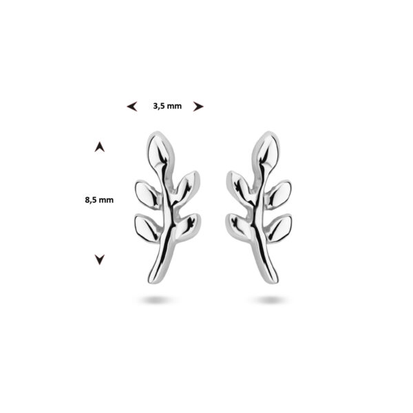 oorknoppen blad zilver gerhodineerd - Afbeelding 4
