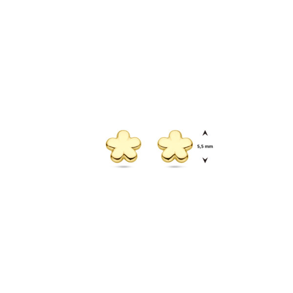 oorknoppen bloem 5,5 mm 14K geelgoud - Afbeelding 4