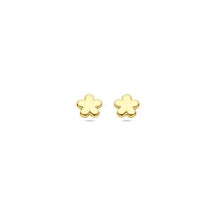 oorknoppen bloem 5,5 mm 14K geelgoud