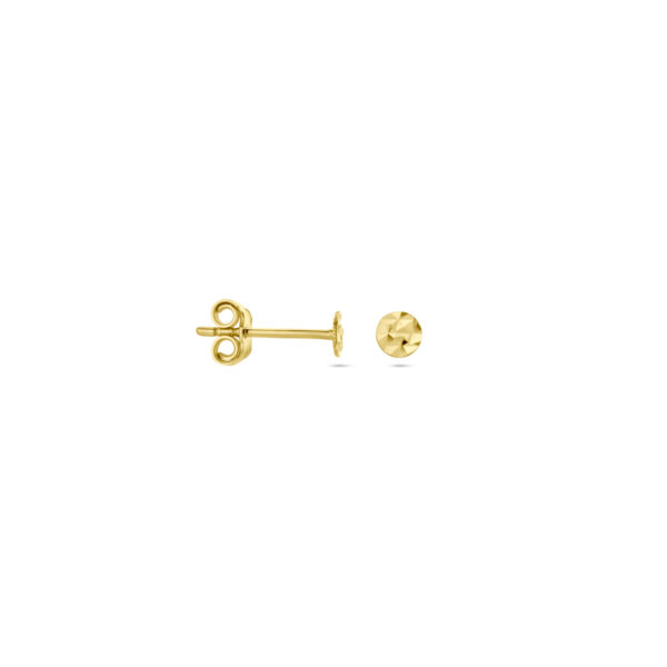 oorknoppen cirkel gehamerd 14K geelgoud - Afbeelding 3