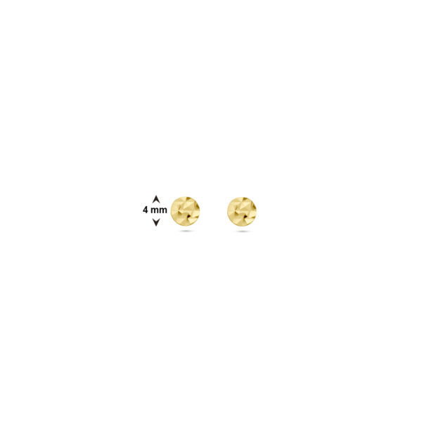 oorknoppen cirkel gehamerd 14K geelgoud - Afbeelding 4
