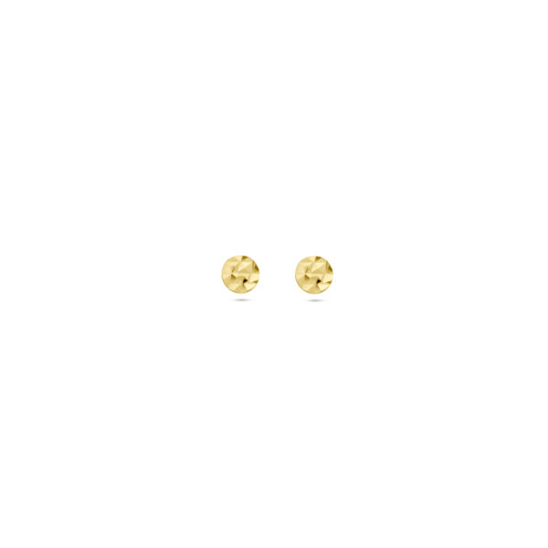 oorknoppen cirkel gehamerd 14K geelgoud