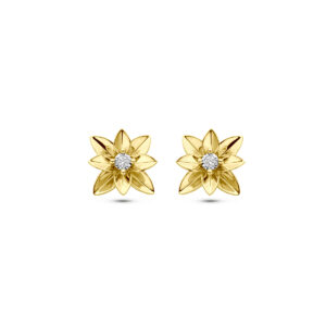 oorknoppen diamant 0.03ct (2x 0.015ct) h si 12 mm 14K bicolor goud geel/wit