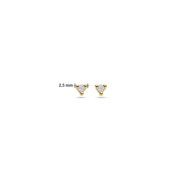 oorknoppen diamant 0.04ct (2x 0.02ct) h p1 14K geelgoud - Afbeelding 4