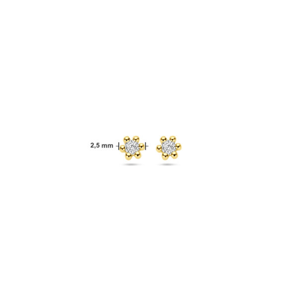 oorknoppen diamant 0.04ct (2x 0.02ct) h p1 2,5 mm 14K geelgoud - Afbeelding 4