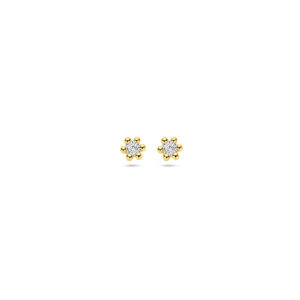 oorknoppen diamant 0.04ct (2x 0.02ct) h p1 2,5 mm 14K geelgoud