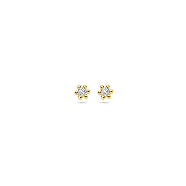 oorknoppen diamant 0.04ct (2x 0.02ct) h p1 2,5 mm 14K geelgoud