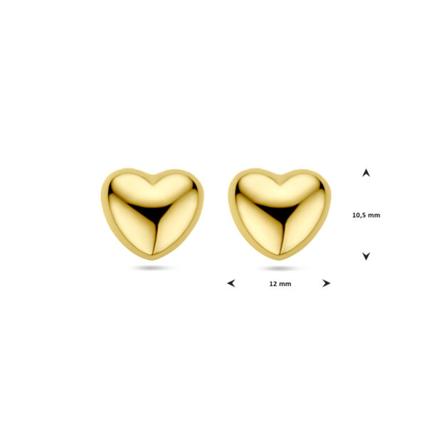 oorknoppen hart 1 micron zilver verguld (geel) - Afbeelding 4
