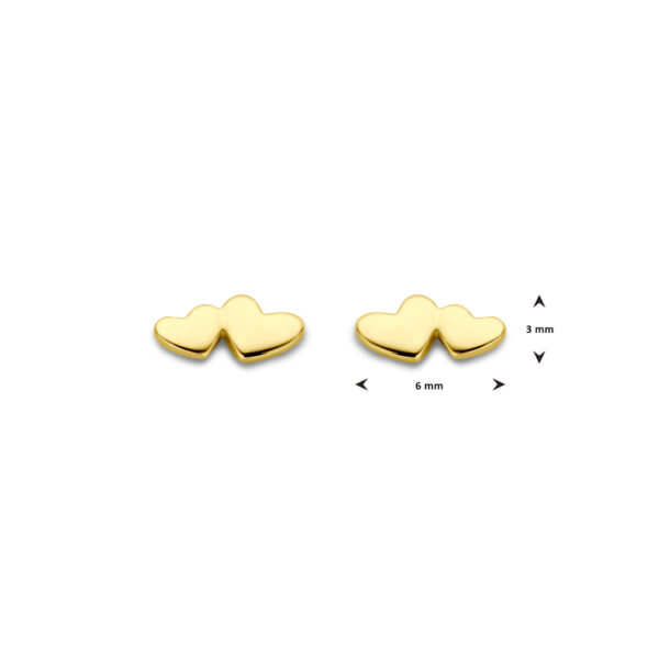oorknoppen hartjes 3 mm 14K geelgoud - Afbeelding 4
