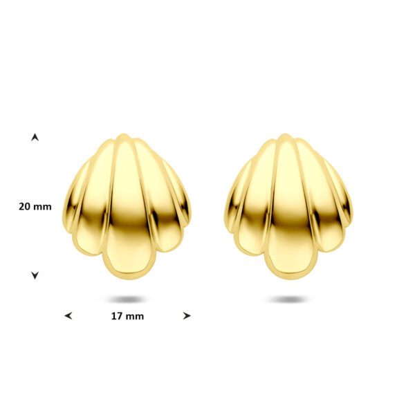 oorknoppen ion plating 20 mm edelstaal - Afbeelding 4