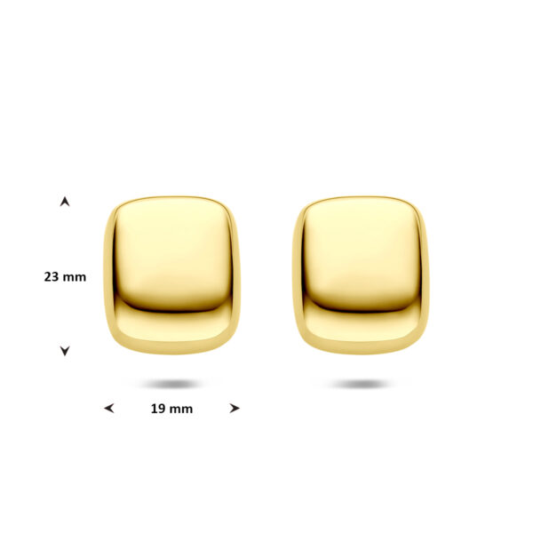 oorknoppen ion plating 23 mm edelstaal - Afbeelding 4