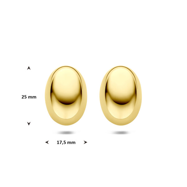 oorknoppen ion plating 25 mm edelstaal - Afbeelding 4