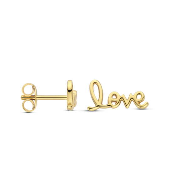 oorknoppen love 6 mm 1 micron zilver verguld (geel) - Afbeelding 3