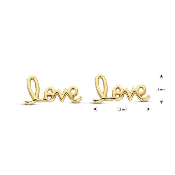oorknoppen love 6 mm 1 micron zilver verguld (geel) - Afbeelding 4