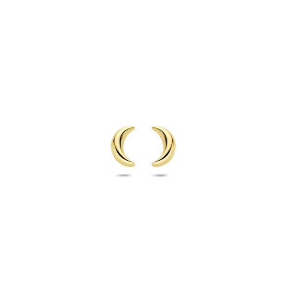 oorknoppen maan 6 mm 14K geelgoud