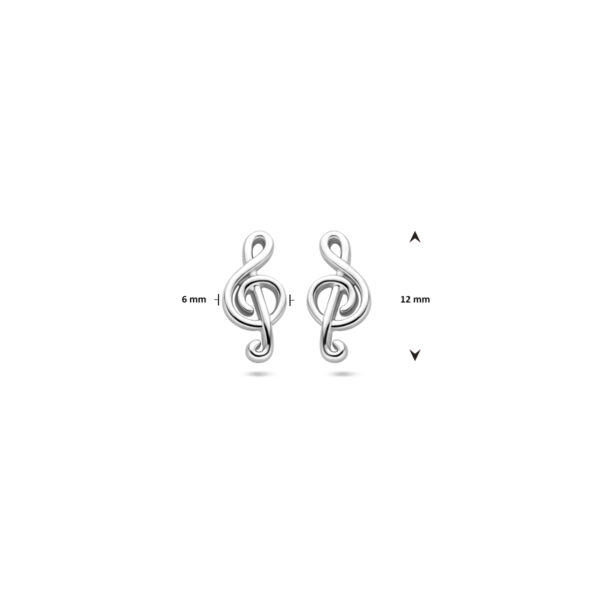 oorknoppen muzieknoot 12 mm zilver gerhodineerd - Afbeelding 5