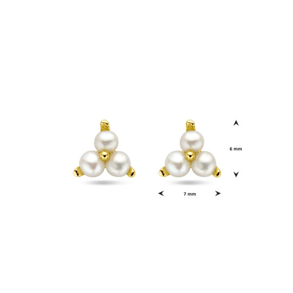 oorknoppen parel 1 micron zilver verguld (geel) - Afbeelding 4