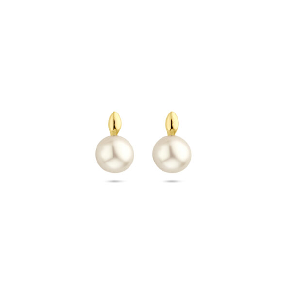 oorknoppen parel 10 mm 14K geelgoud