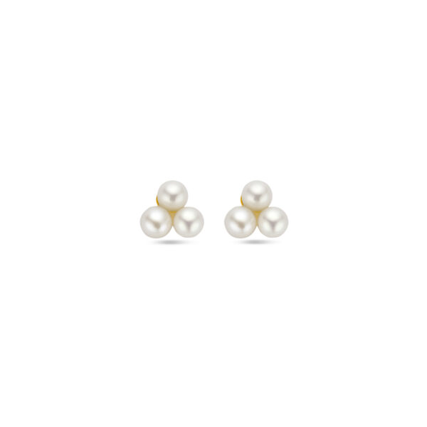 oorknoppen parel 5 mm 14K geelgoud