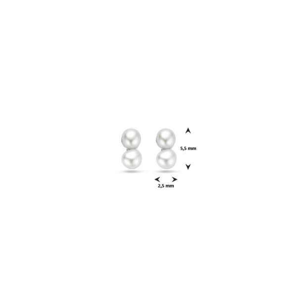 oorknoppen parel 5,5 mm zilver gerhodineerd - Afbeelding 4