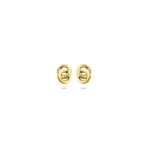 oorknoppen poli/gediamanteerd 6 mm 14K geelgoud