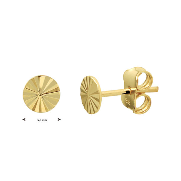oorknoppen rond gediamanteerd 14K geelgoud - Afbeelding 3