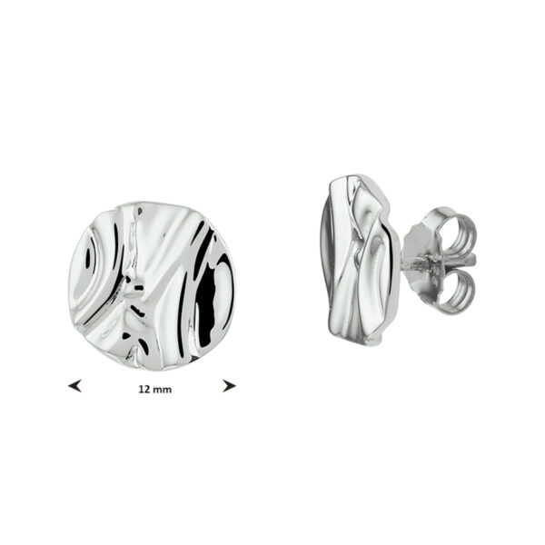 oorknoppen rond zilver gerhodineerd - Afbeelding 3