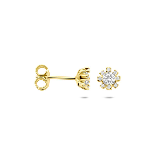 oorknoppen rozet zirkonia 6 mm 14K geelgoud - Afbeelding 3