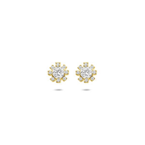 oorknoppen rozet zirkonia 6 mm 14K geelgoud