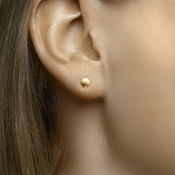 oorknoppen schelp 14K geelgoud - Afbeelding 2