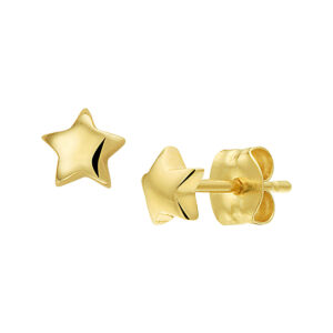 oorknoppen ster 14K geelgoud
