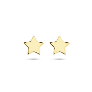 oorknoppen ster 14K geelgoud
