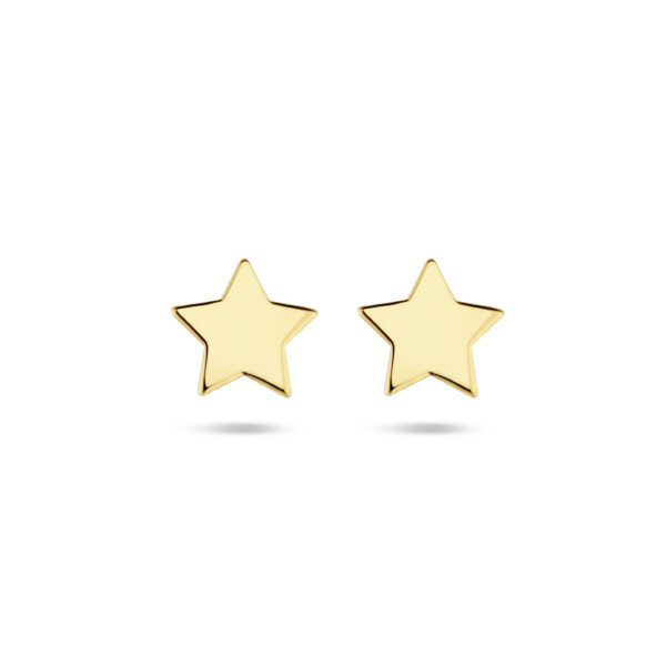 oorknoppen ster 14K geelgoud