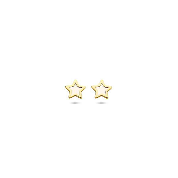 oorknoppen ster parelmoer 5 mm 14K geelgoud