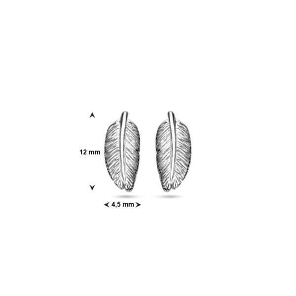 oorknoppen veer 12 mm zilver gerhodineerd - Afbeelding 5