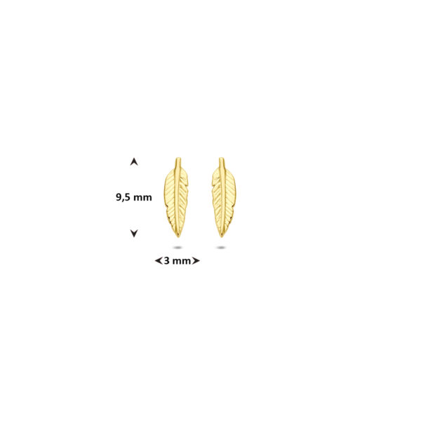 oorknoppen veer 9,5 mm 14K geelgoud - Afbeelding 4