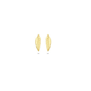oorknoppen veer 9,5 mm 14K geelgoud
