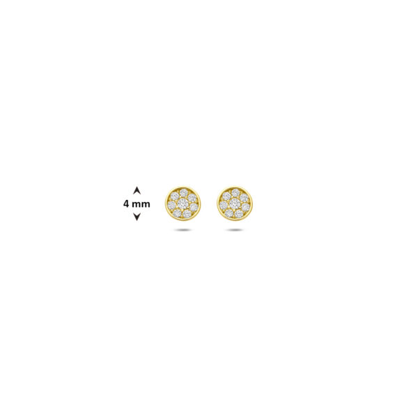 oorknoppen zirkonia 4 mm 14K geelgoud - Afbeelding 4