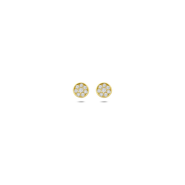 oorknoppen zirkonia 4 mm 14K geelgoud