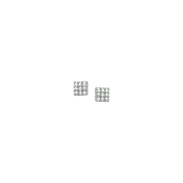 oorknoppen zirkonia zilver gerhodineerd