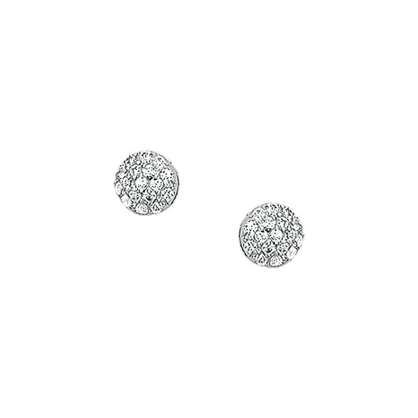 oorknoppen zirkonia zilver gerhodineerd