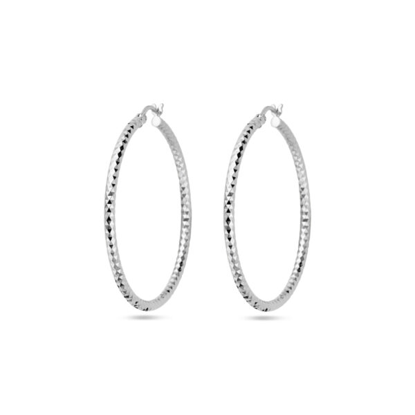 oorringen 2,5 mm ronde buis gediamanteerd zilver gerhodineerd