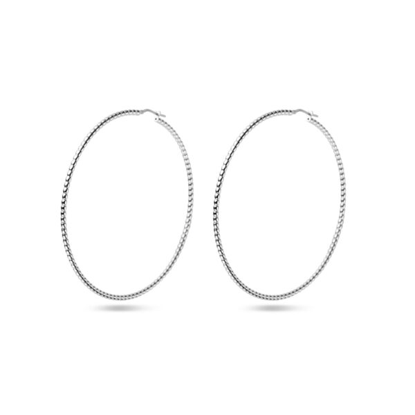 oorringen 2,5 mm zilver gerhodineerd