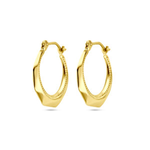 oorringen lapide 20 mm 14K geelgoud
